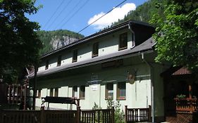 Penzion Borovica